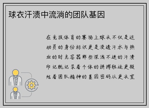 球衣汗渍中流淌的团队基因