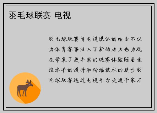 羽毛球联赛 电视